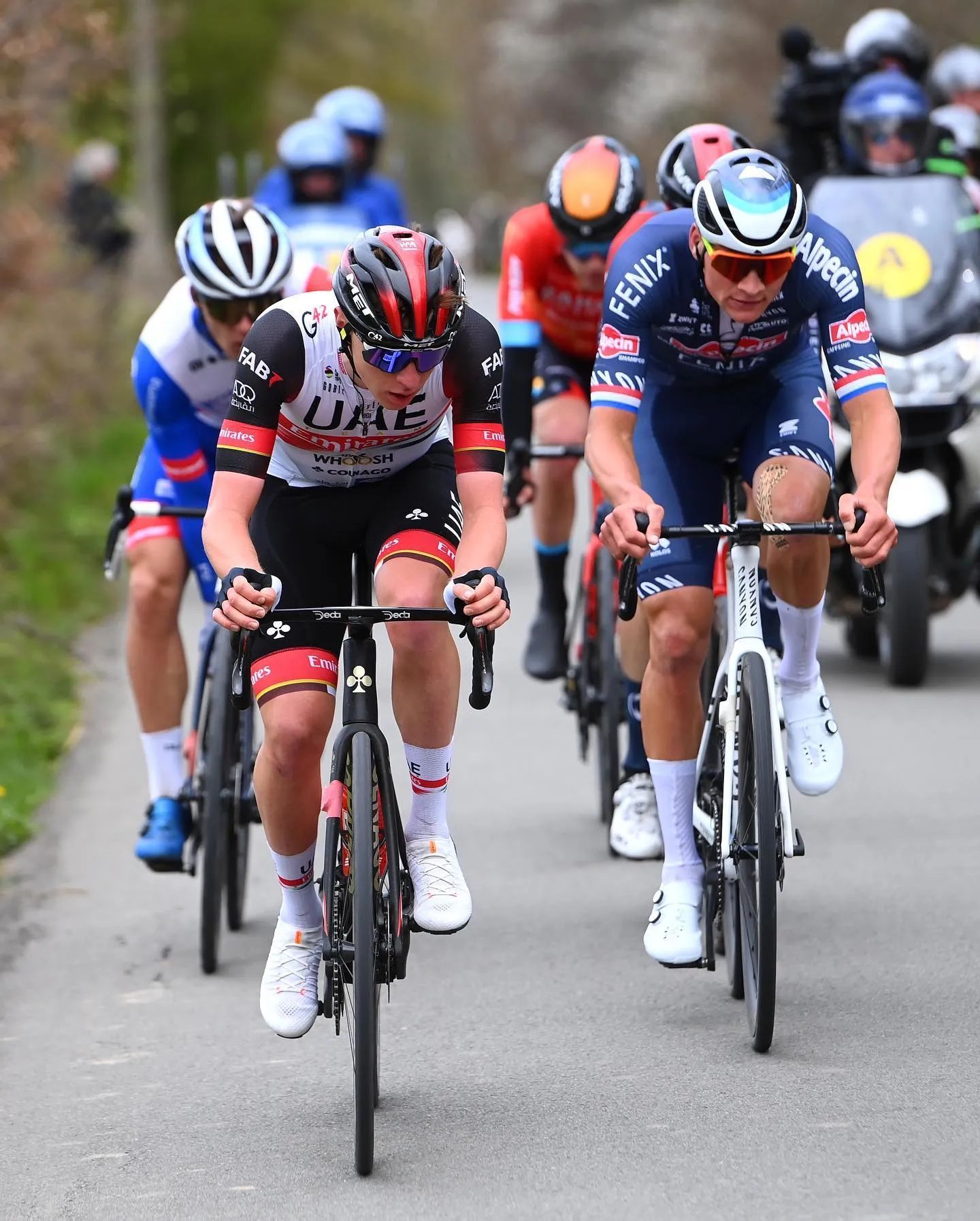 Матье ван дер Пул второй раз выиграл «Тур Фландрии»