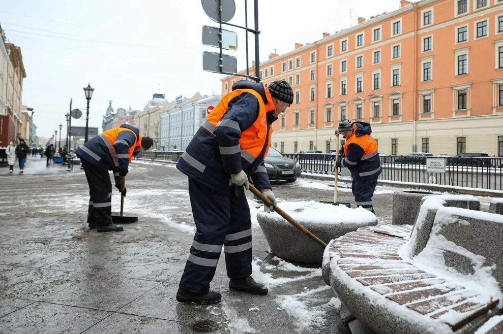 «Почву на газонах придется менять»: эколог о последствиях массовой «засолки» Петербурга