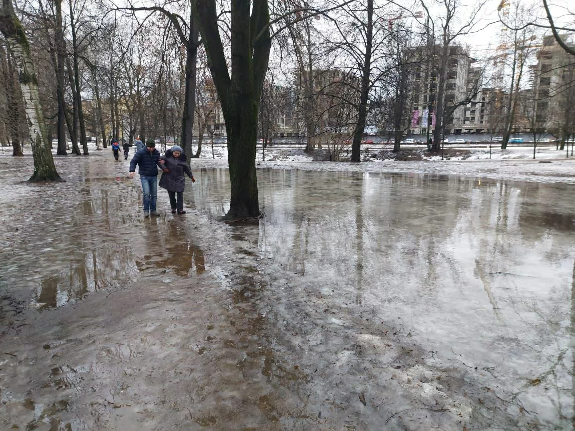 Петербургский суд удовлетворил часть ходатайств по иску Баханович к Беглову и Комблагу