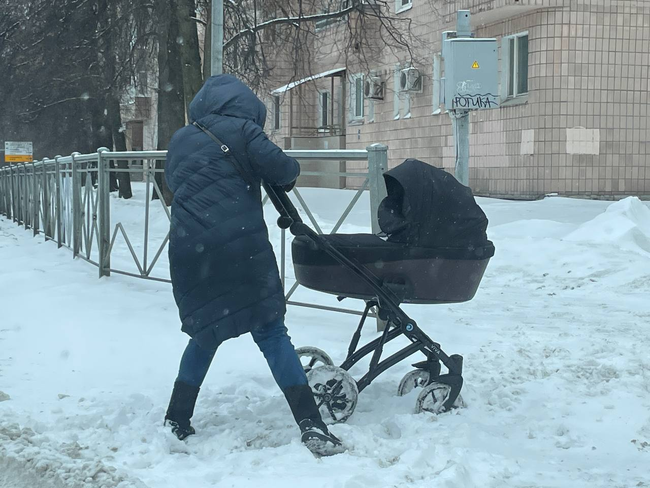 «Вот и сиди дома, нечего шлындать!»: петербуржцы высказываются о снежном коллапсе