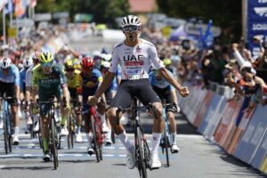 Айзек дель Торо