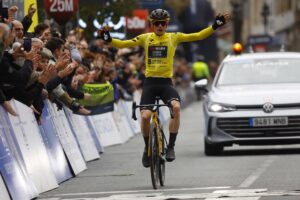 Йонас Вингегор