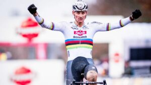 Матье ван дер Пул