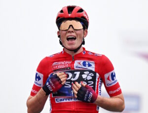 Деми Воллеринг