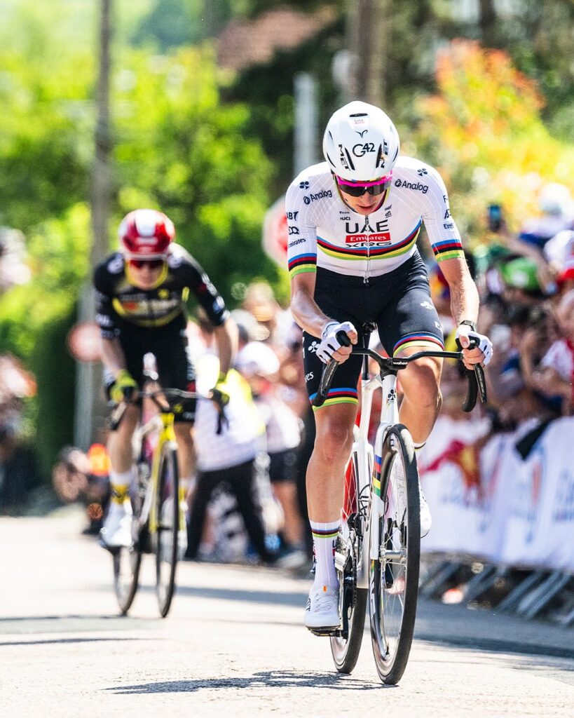 505182756 18518094760003041 7631978771203105207 n