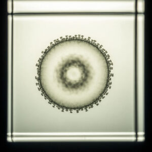 3cb3e3677e7711f0af330ed1c70d59b1 3