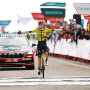 Йонас Вингегор