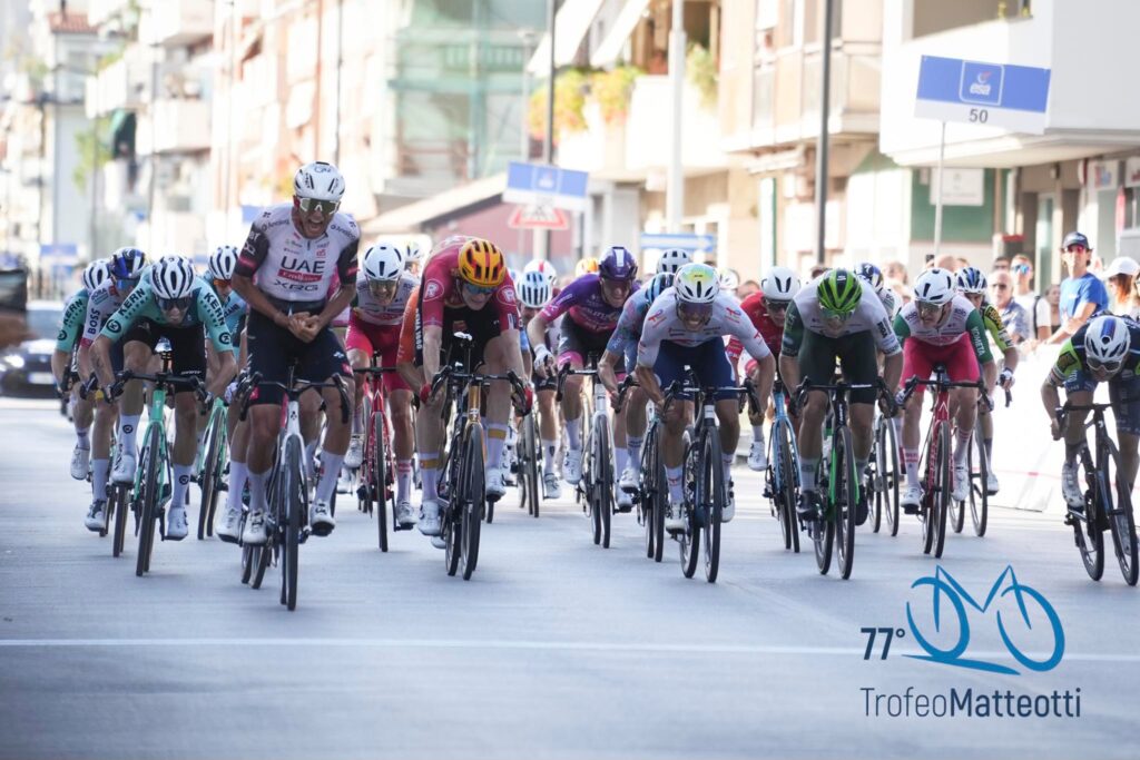 547956634 1398276462300655 5865012724236271998 n