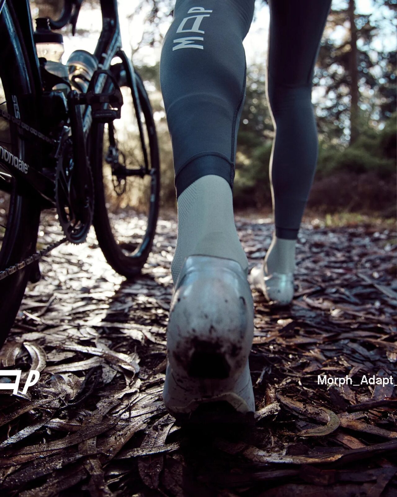 404891672 1025126231931838 5735770393647190424 n