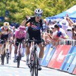 Элли Уолластон