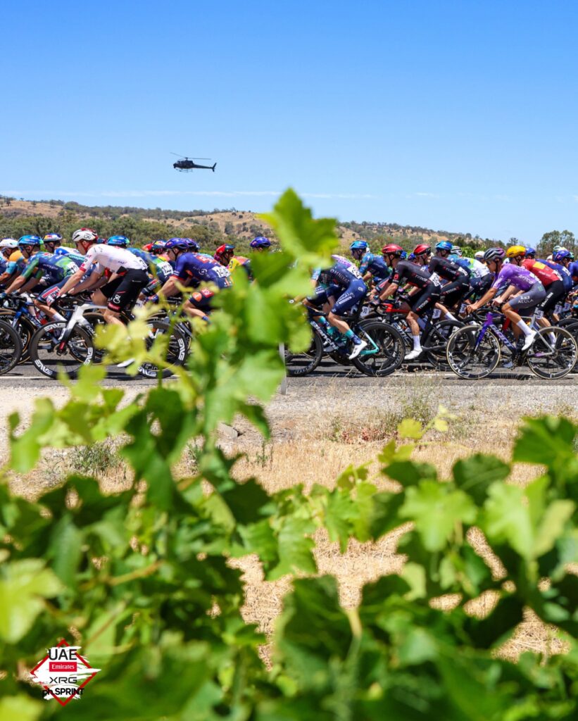 619788809 18383167594151539 5113424438264734014 n