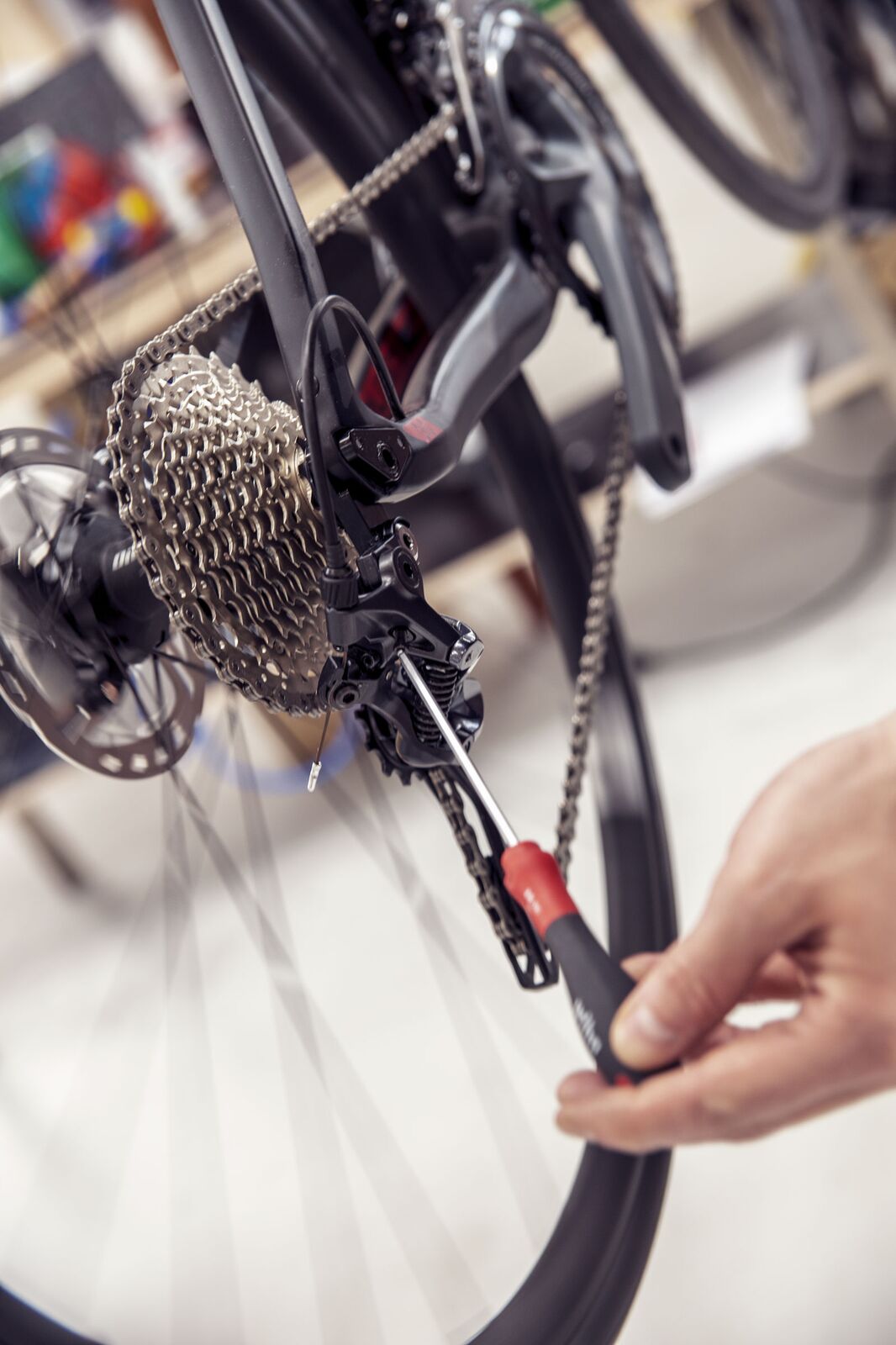 Весеннее ТО: как подготовить велосипед к сезону