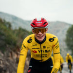 Йонас Вингегор