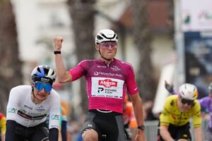 Матье ван дер Пул