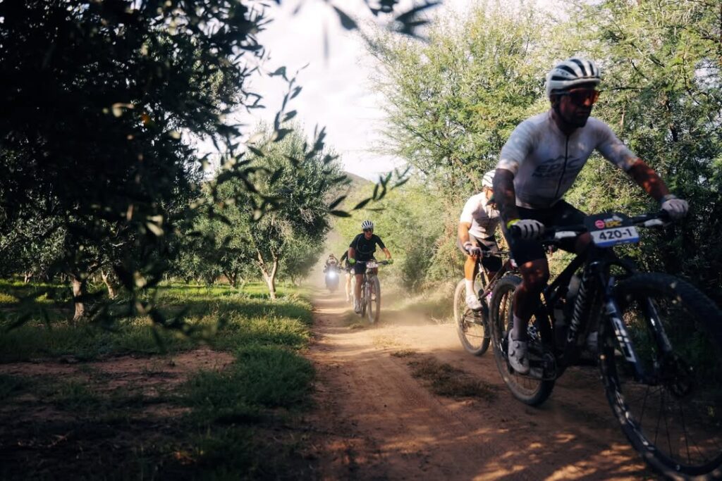 651026992 18563897926013517 4726915739293284082 n