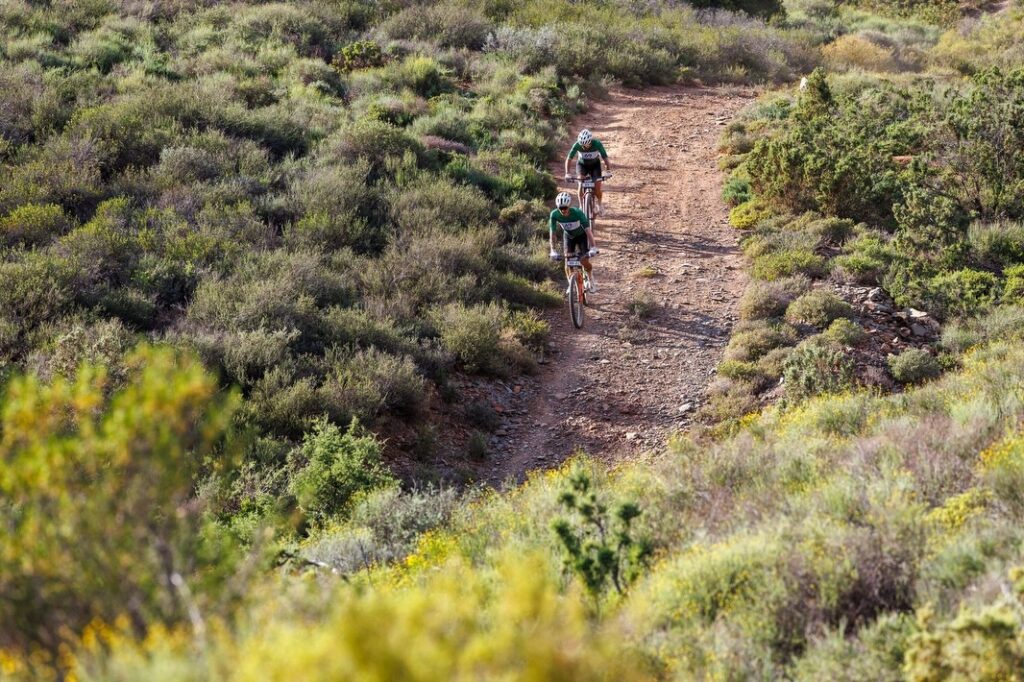 651918350 18563897053013517 7952761156509216366 n