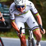 Тадей Погачар