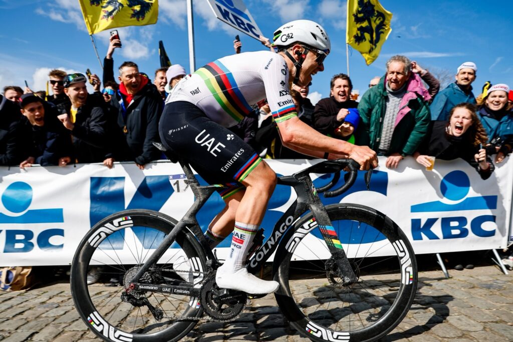 Тадей Погачар