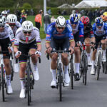 Тадей Погачар