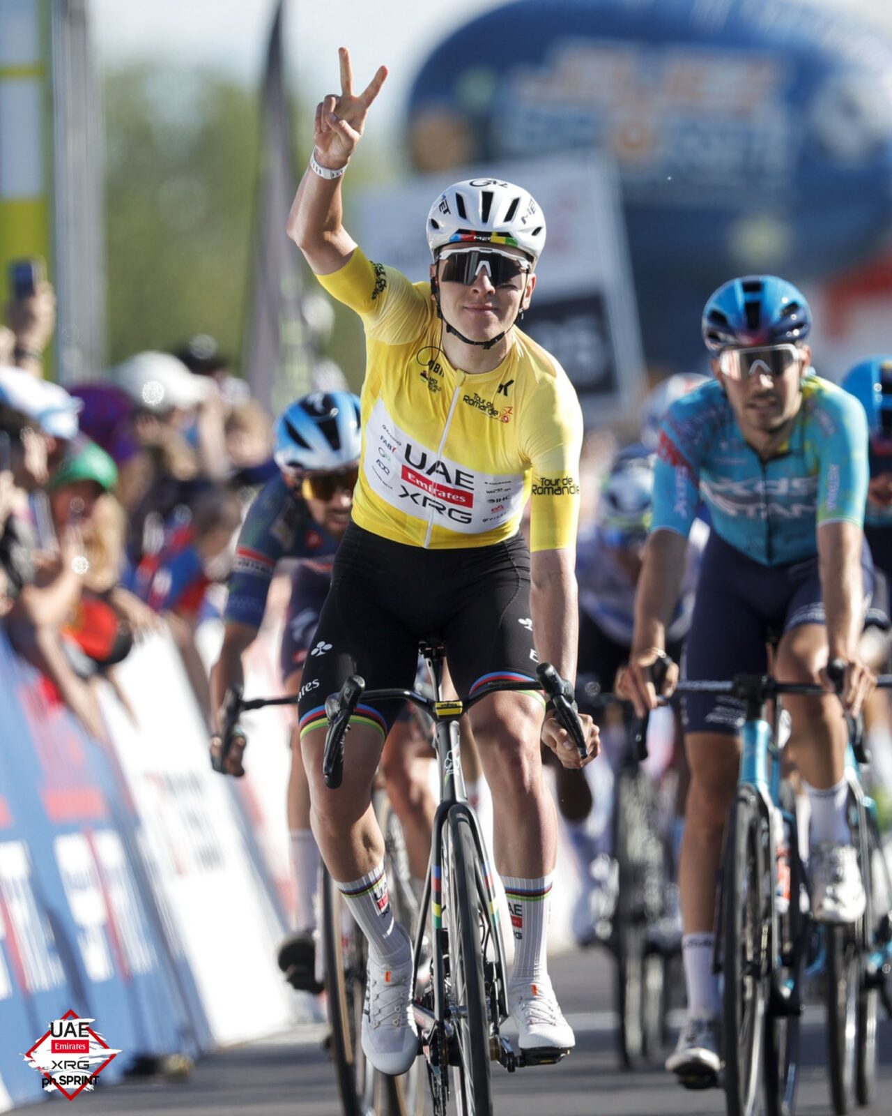 Тадей Погачар