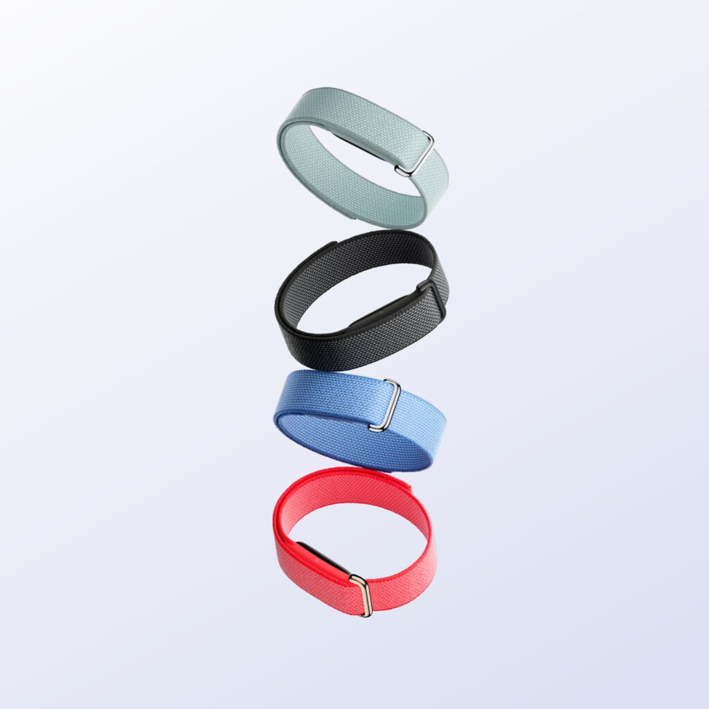 Google Fitbit Air